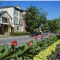 Toronto urban trees can improve health and land values