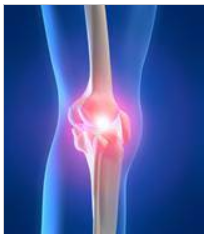 How to Keep Your Knees Healthy