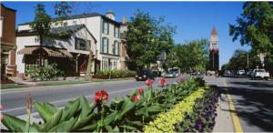 Toronto urban trees can improve health and land values