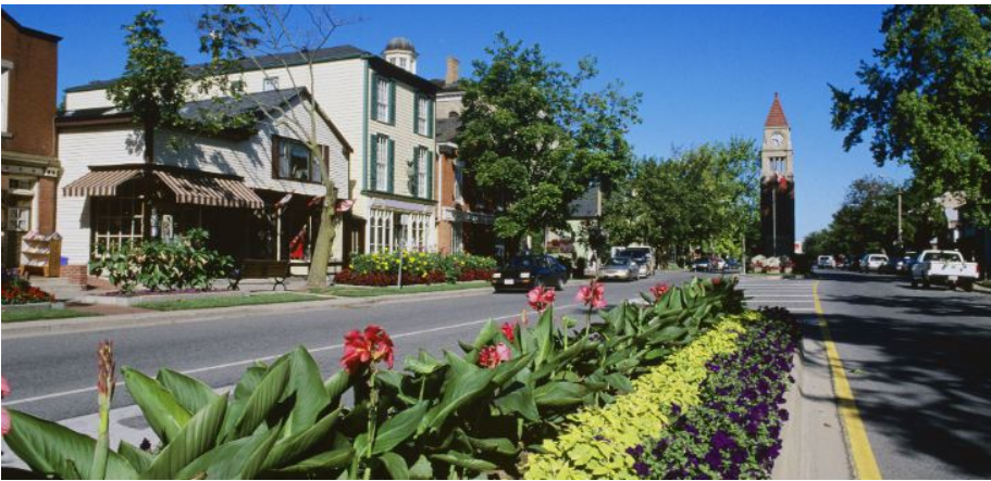 Toronto urban trees can improve health and land values