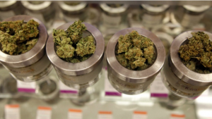 Ontario medical marijuana exemption under review just 1 day after it was announced