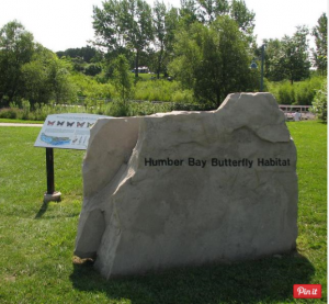 Visit Toronto’s Humber Bay Butterfly Habitat