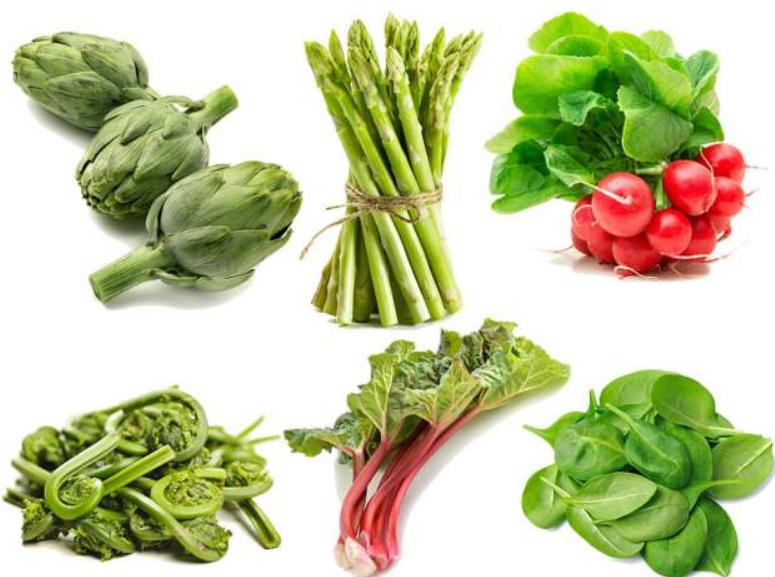 Spring vegetables - how to cook them, what to look for, and when to enjoy them