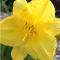 Spring Forward - Daylight Saving Time Home and Auto Safety Checklist