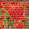 Remembrance Day - November 11, 2020